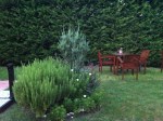 Rooftop Garden in Instanbul
